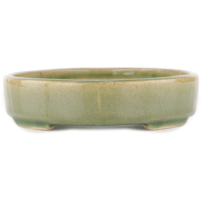 Vaso bonsai ovale verde - 168 x 143 x 32 mm