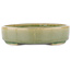 Oval green bonsai pot - 168 x 143 x 32 mm