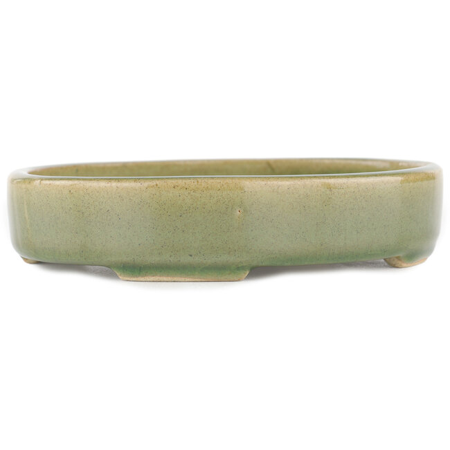 Ovaler grüner Bonsaitopf – 168 x 143 x 32 mm