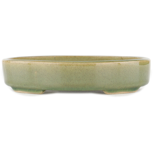 Maceta para bonsái ovalada verde - 168 x 143 x 32 mm
