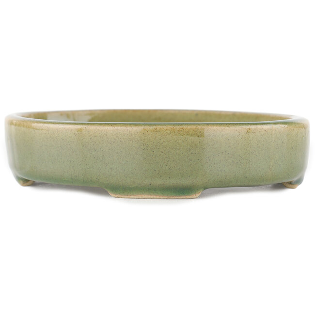 Maceta para bonsái ovalada verde - 168 x 143 x 32 mm