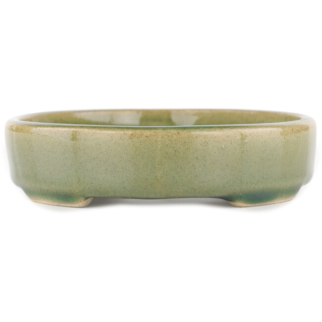 Oval green bonsai pot - 168 x 143 x 32 mm