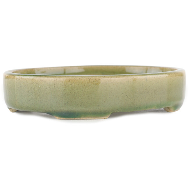 Vaso bonsai ovale verde - 168 x 143 x 32 mm