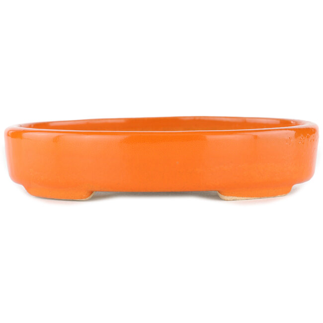 Ovaler orangefarbener Bonsaitopf – 168 x 143 x 32 mm