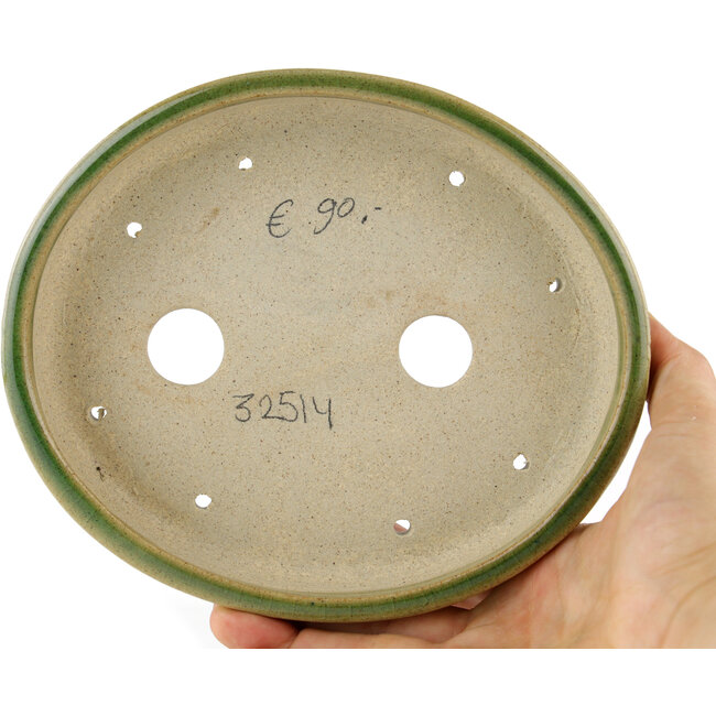 Vaso bonsai ovale verde - 168 x 143 x 32 mm