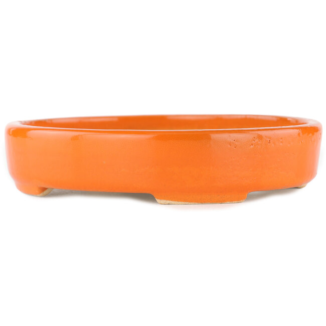 Pot à bonsaï ovale orange - 168 x 143 x 32 mm