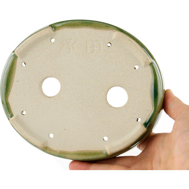 Pot à bonsaï vert ovale - 168 x 143 x 32 mm