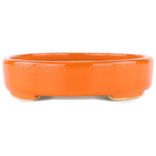 Ovale oranje bonsaipot - 168 x 143 x 32 mm