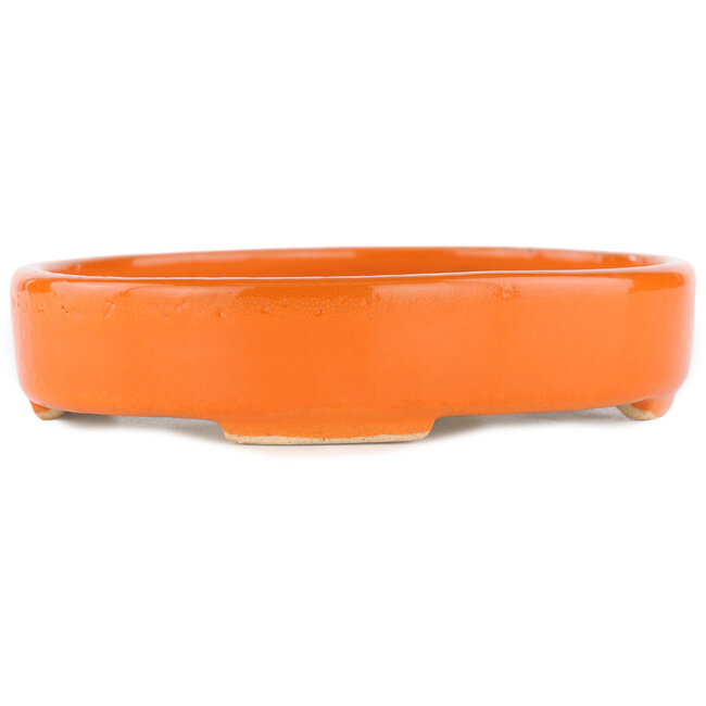 Maceta para bonsai ovalada naranja - 168 x 143 x 32 mm