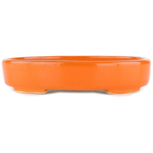 Pot à bonsaï ovale orange - 168 x 143 x 32 mm