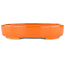 Pot à bonsaï ovale orange - 168 x 143 x 32 mm