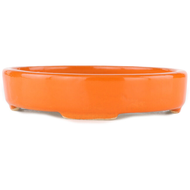 Vaso bonsai ovale arancione - 168 x 143 x 32 mm