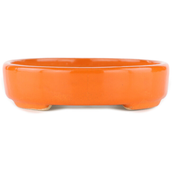Ovale oranje bonsaipot - 168 x 143 x 32 mm