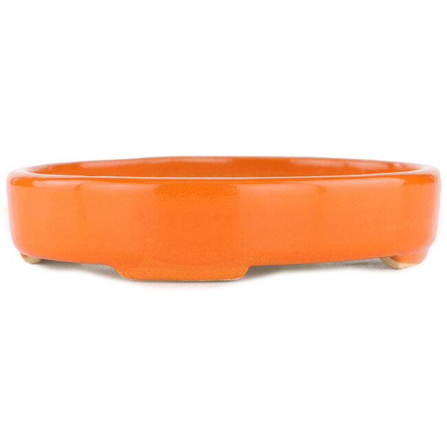Vaso bonsai ovale arancione - 168 x 143 x 32 mm