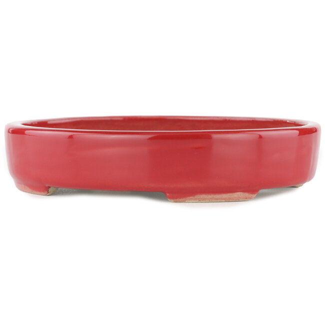 Maceta para bonsai ovalada roja - 168 x 143 x 32 mm