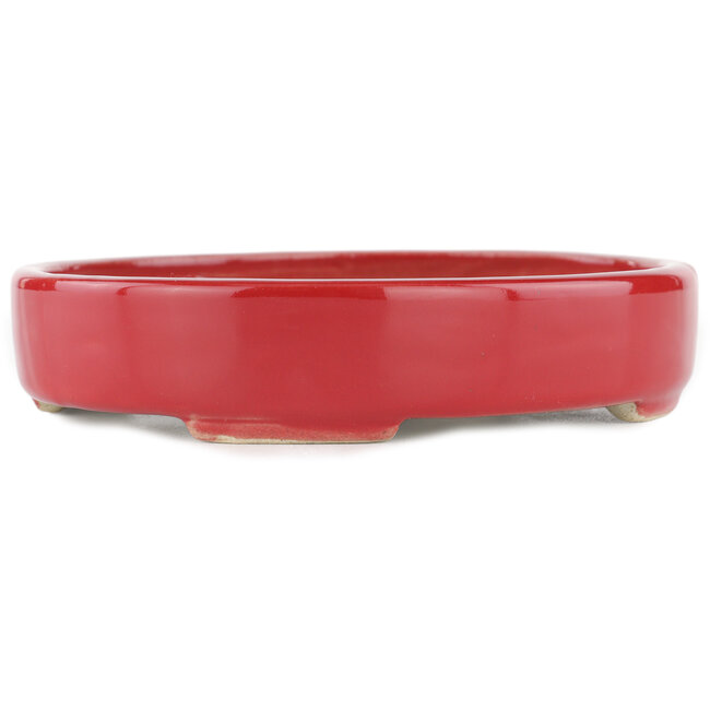 Ovaler roter Bonsaitopf – 168 x 143 x 32 mm