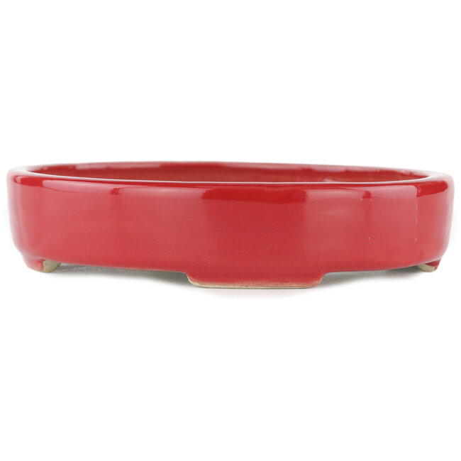 Maceta para bonsai ovalada roja - 168 x 143 x 32 mm