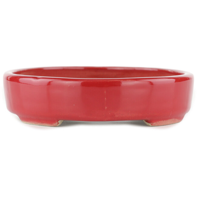 Maceta para bonsai ovalada roja - 168 x 143 x 32 mm