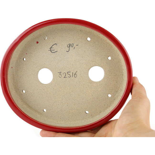 Pot à bonsaï ovale rouge - 168 x 143 x 32 mm
