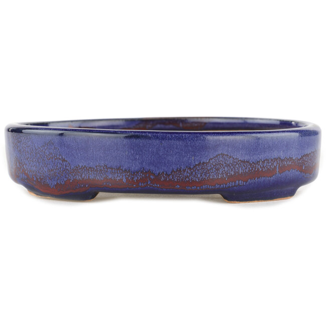 Pot à bonsaï ovale bleu - 168 x 143 x 32 mm