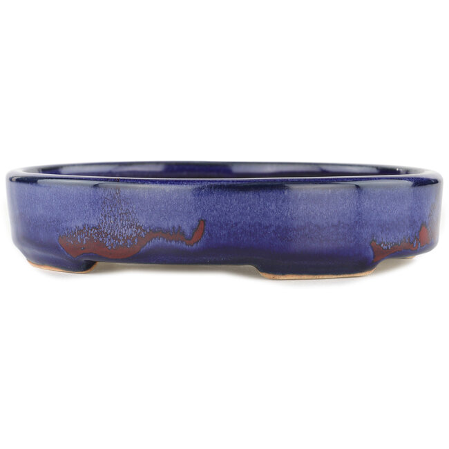 Pot à bonsaï ovale bleu - 168 x 143 x 32 mm