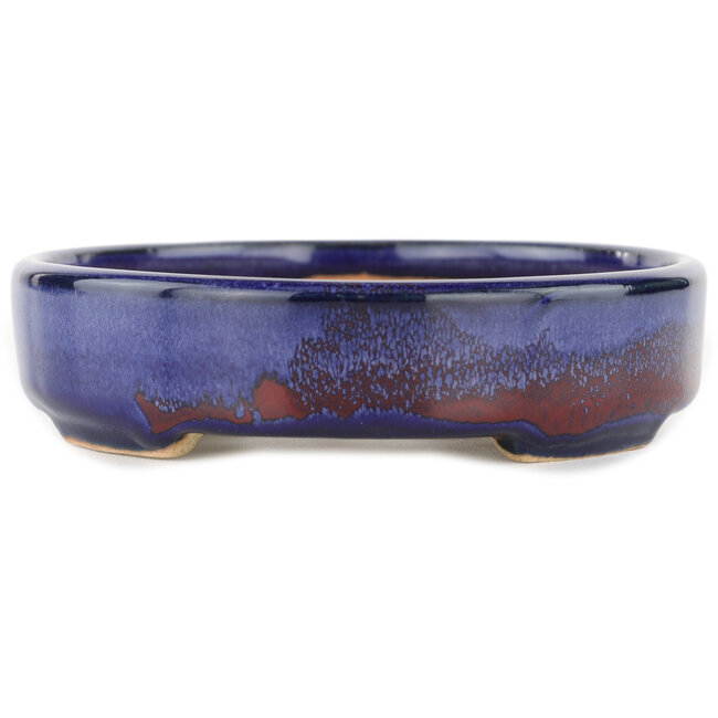 Ovale blauwe bonsaipot - 168 x 143 x 32 mm