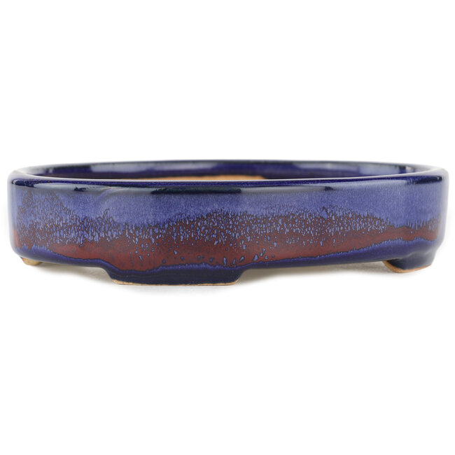 Pot à bonsaï ovale bleu - 168 x 143 x 32 mm