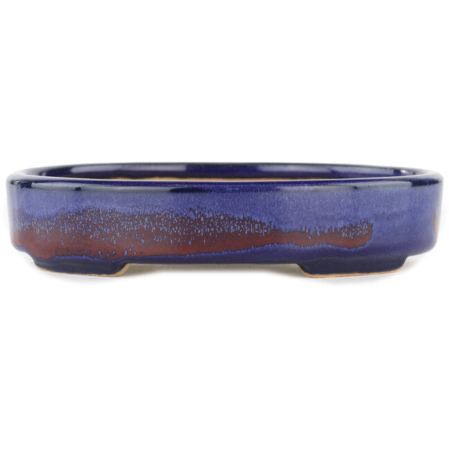 Maceta para bonsái ovalada azul - 168 x 143 x 32 mm