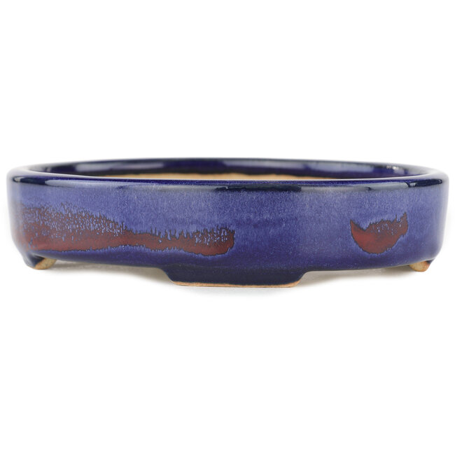 Ovale blauwe bonsaipot - 168 x 143 x 32 mm