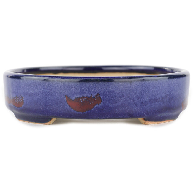Vaso bonsai ovale blu - 168 x 143 x 32 mm