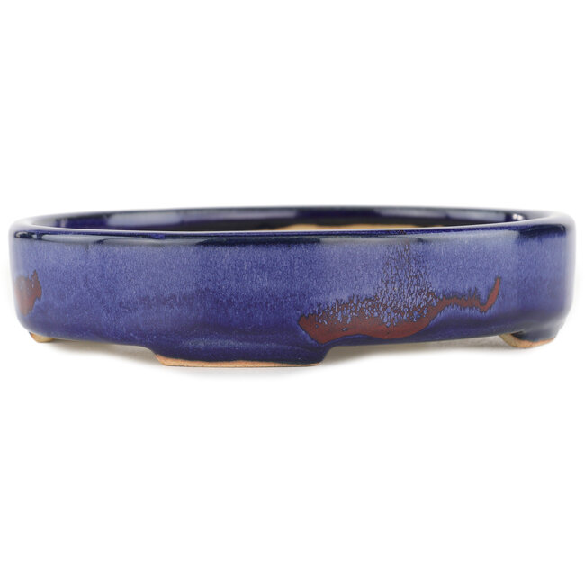 Maceta para bonsái ovalada azul - 168 x 143 x 32 mm