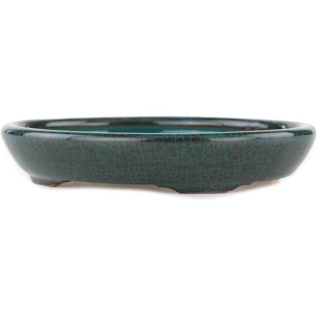 Pot à bonsaï vert ovale - 171 x 146 x 28 mm