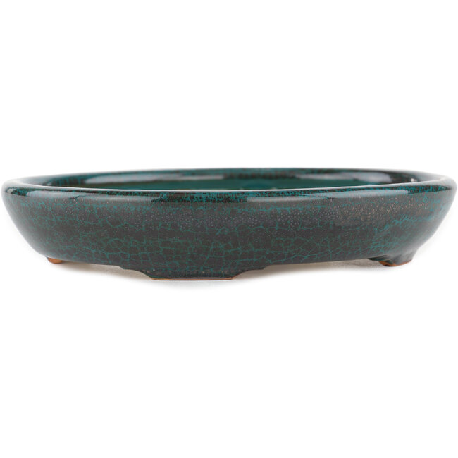 Maceta para bonsái ovalada verde - 171 x 146 x 28 mm