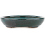 Oval green bonsai pot - 171 x 146 x 28 mm