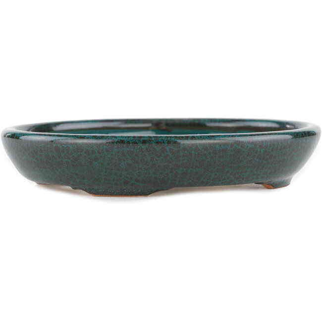 Vaso bonsai ovale verde - 171 x 146 x 28 mm