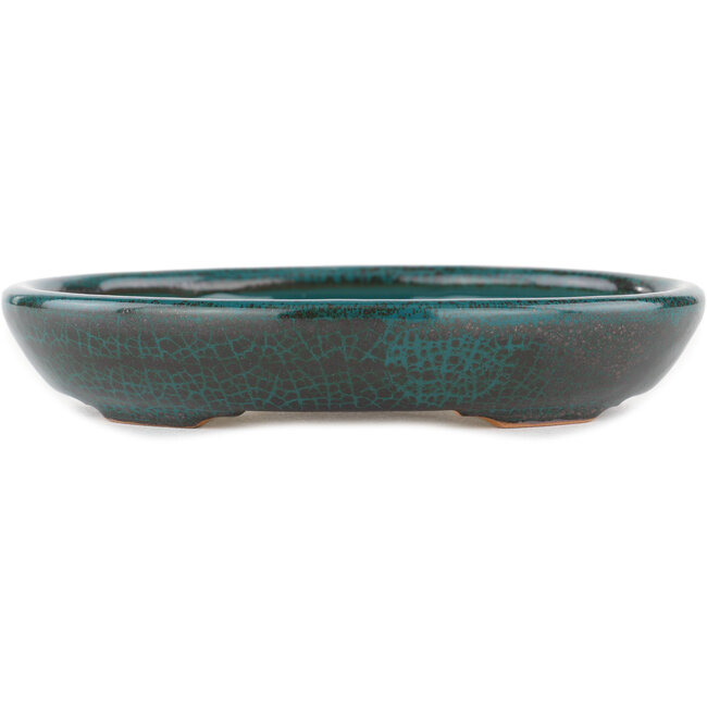 Ovaler blauer Bonsaitopf – 171 x 146 x 28 mm