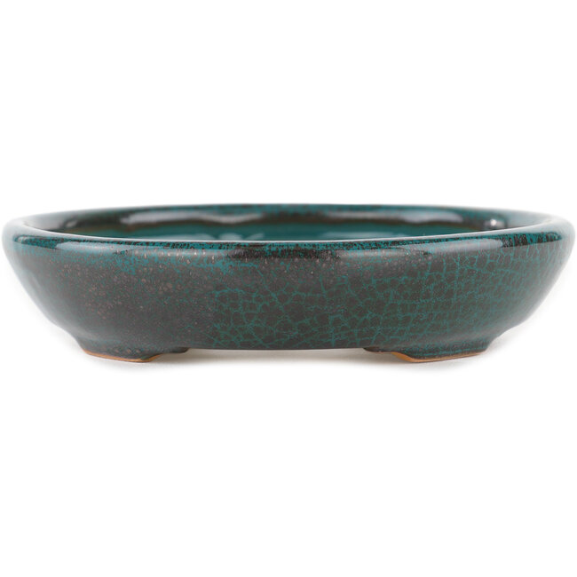 Ovaler blauer Bonsaitopf – 171 x 146 x 28 mm