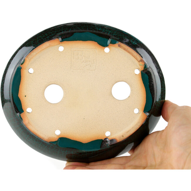 Maceta para bonsái ovalada verde - 171 x 146 x 28 mm