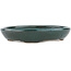 Ovaler blauer Bonsaitopf – 171 x 146 x 28 mm