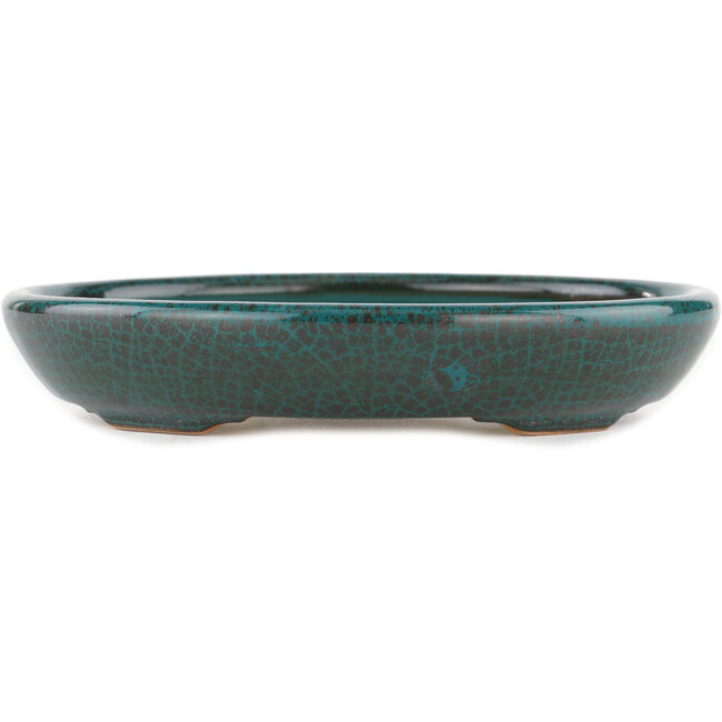 Ovaler blauer Bonsaitopf – 171 x 146 x 28 mm