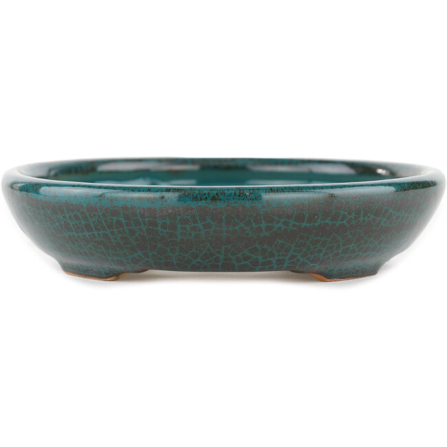 Vaso bonsai ovale blu - 171 x 146 x 28 mm