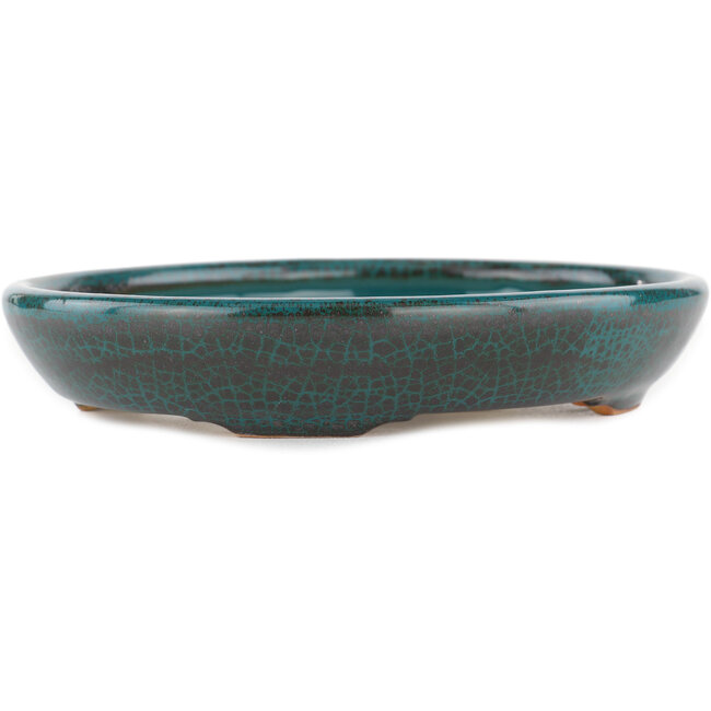 Vaso bonsai ovale blu - 171 x 146 x 28 mm