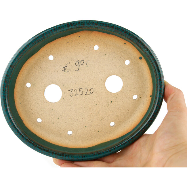 Maceta para bonsái ovalada azul - 171 x 146 x 28 mm