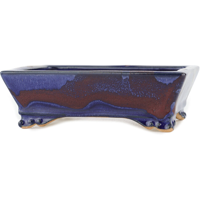 Pot à bonsaï rectangulaire bleu - 140 x 112 x 45 mm