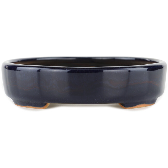 Pot à bonsaï ovale bleu - 170 x 145 x 35 mm