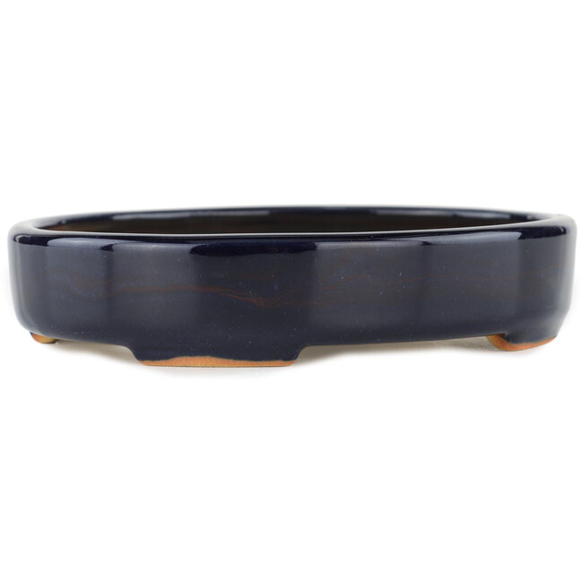 Ovale blauwe bonsaipot - 170 x 145 x 35 mm
