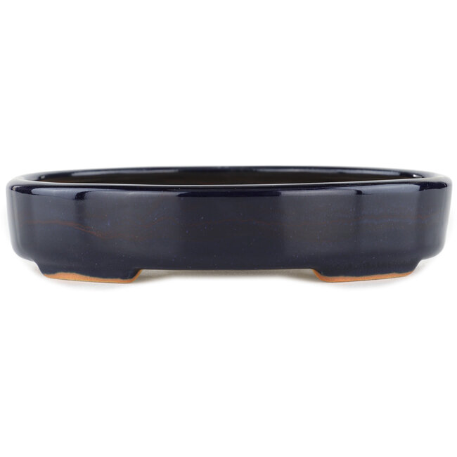 Pot à bonsaï ovale bleu - 170 x 145 x 35 mm