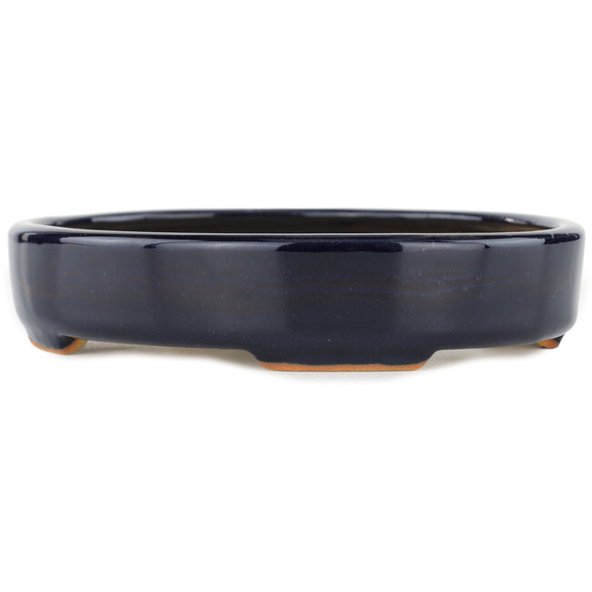 Pot à bonsaï ovale bleu - 170 x 145 x 35 mm