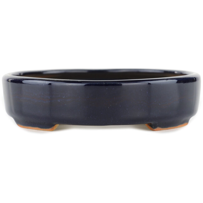 Maceta para bonsái ovalada azul - 170 x 145 x 35 mm