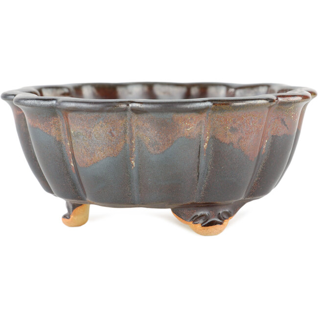 Maceta para bonsai loto marrón - 135 x 135 x 60 mm